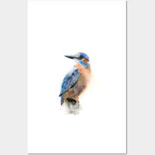 watercolor kingfisher Posters and Art